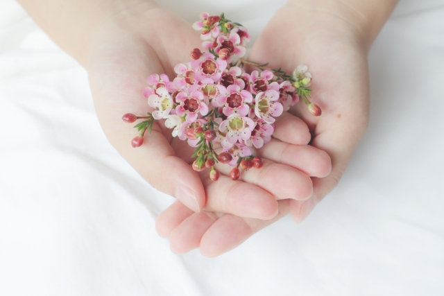 誕生花の由来 どれが正しいのか 366hana